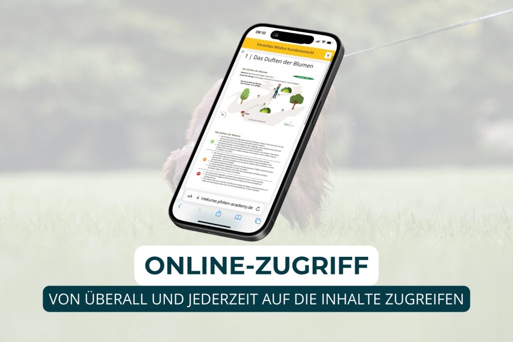 Hundetrainer werden, Ausbildung Hundetrainer, Online Ausbildung Hundeschule, Online Hundetrainer Ausbildung