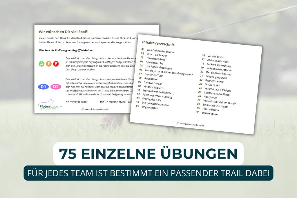 Hundetrainer werden, Ausbildung Hundetrainer, Online Ausbildung Hundeschule, Online Hundetrainer Ausbildung