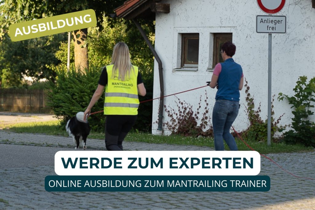 Hundetrainer werden, Ausbildung Hundetrainer, Online Ausbildung Hundeschule, Online Hundetrainer Ausbildung