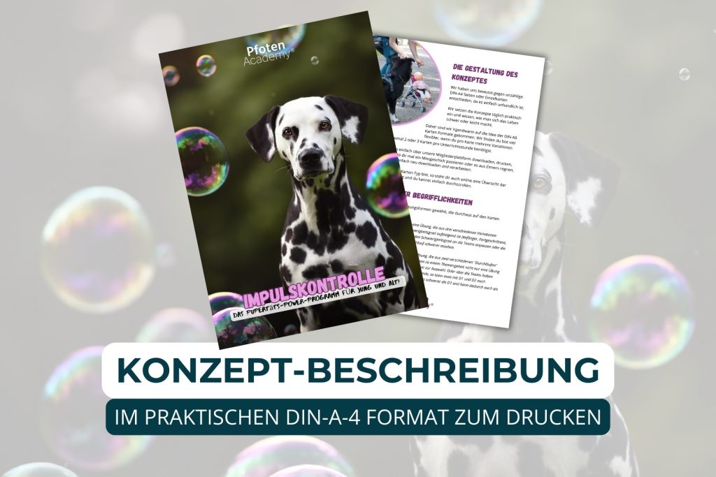 Hundetrainer werden, Ausbildung Hundetrainer, Online Ausbildung Hundeschule, Online Hundetrainer Ausbildung