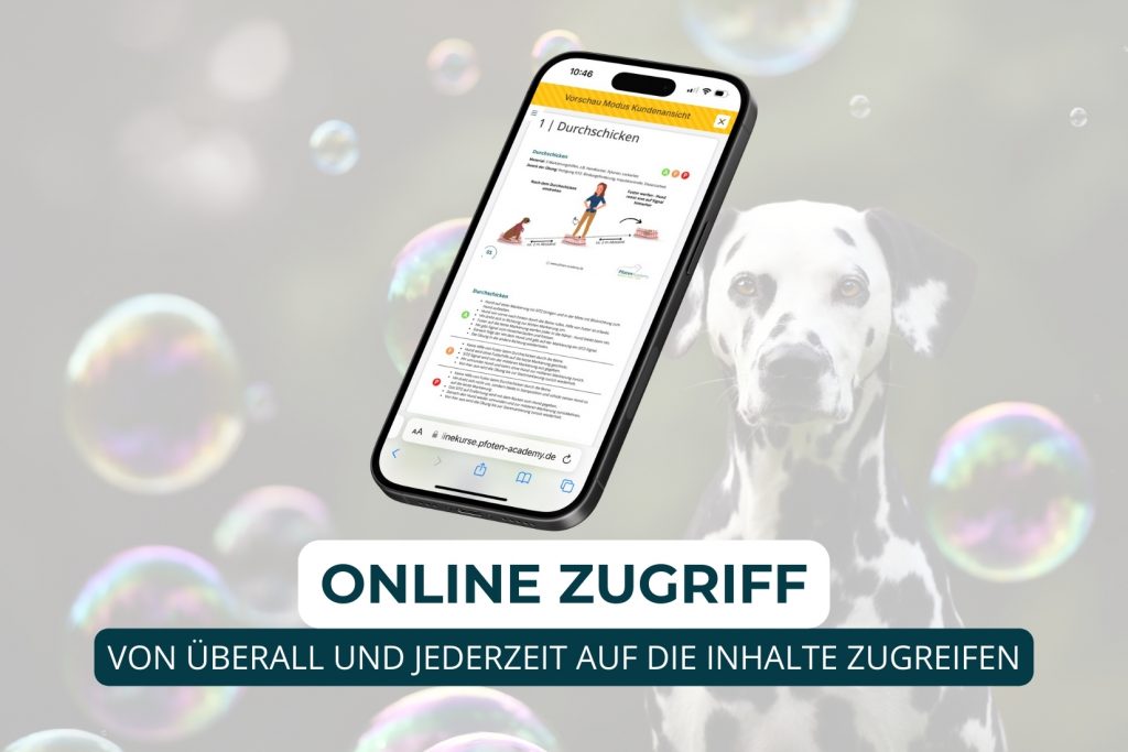 Hundetrainer werden, Ausbildung Hundetrainer, Online Ausbildung Hundeschule, Online Hundetrainer Ausbildung