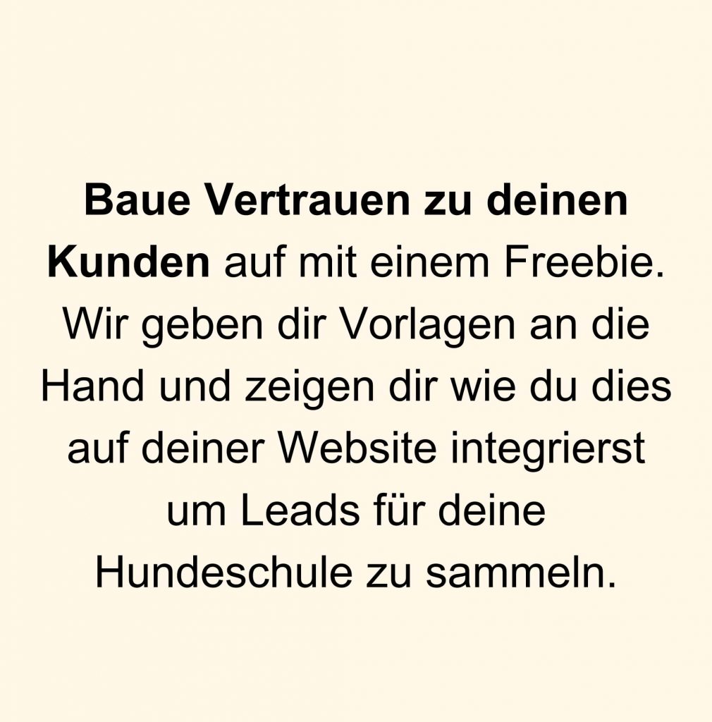 Hundetrainer werden, Hundeschule aufbauen, Instagram Reichweite, Website selber bauen