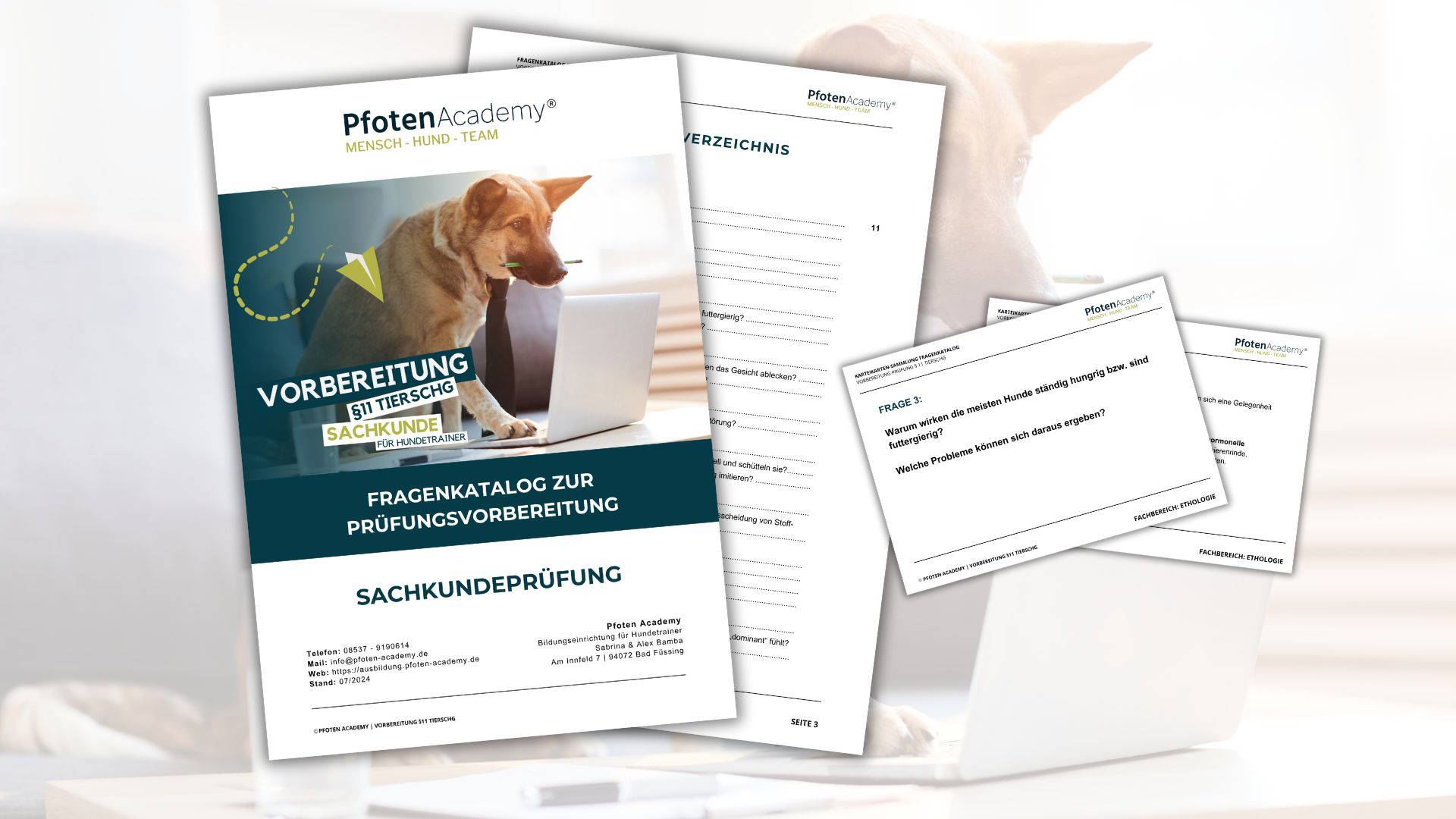 Hundetrainer werden, Hundetrainer Ausbildung, Ausbildung zum Hundetrainer, Prüfung Hundetrainer §11 TierSchg