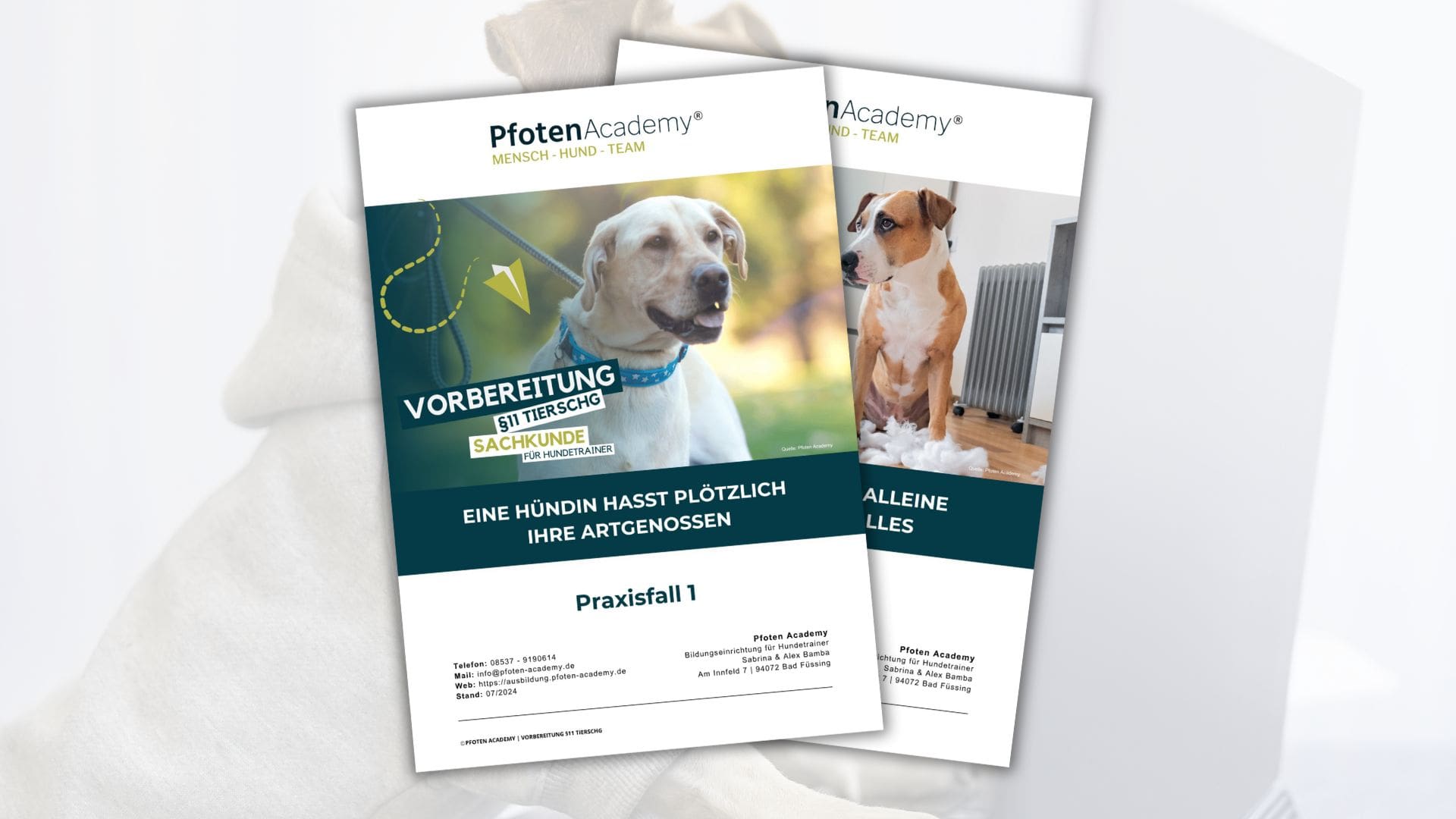 Hundetrainer werden, Hundetrainer Ausbildung, Ausbildung zum Hundetrainer, Prüfung Hundetrainer §11 TierSchg