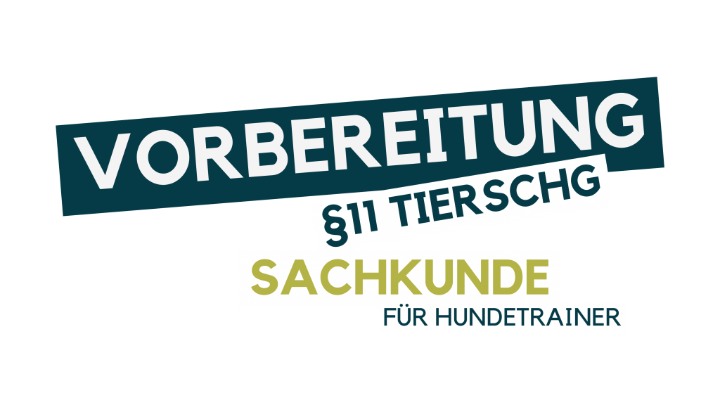 Hundetrainer werden, Hundetrainer Ausbildung, Ausbildung zum Hundetrainer, Prüfung Hundetrainer §11 TierSchg