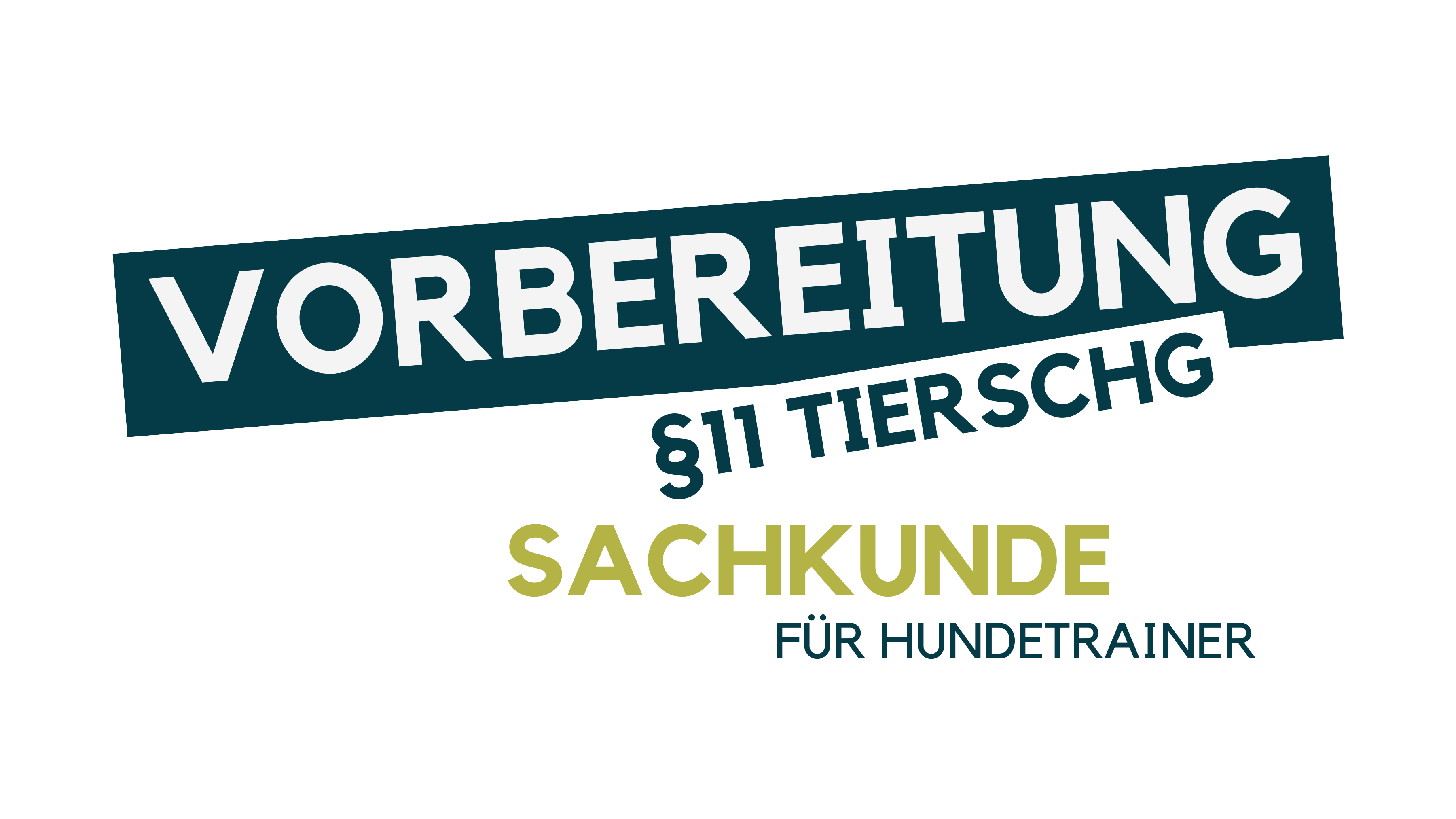 Hundetrainer werden, Hundetrainer Ausbildung, Ausbildung zum Hundetrainer, Prüfung Hundetrainer §11 TierSchg