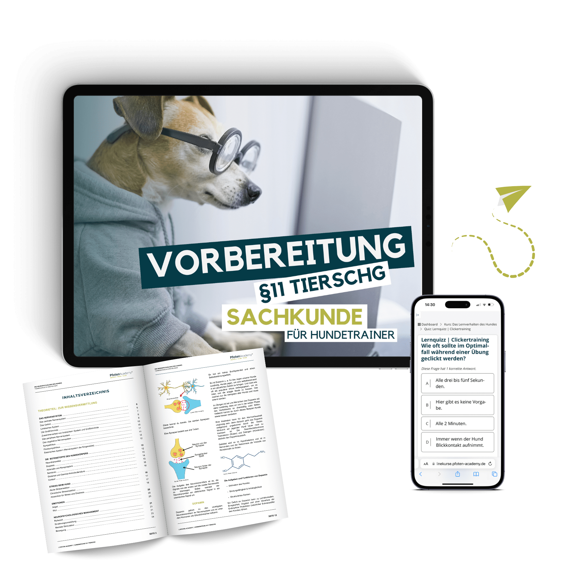 Hundetrainer werden, Hundetrainer Ausbildung, Ausbildung zum Hundetrainer, Prüfung Hundetrainer §11 TierSchg