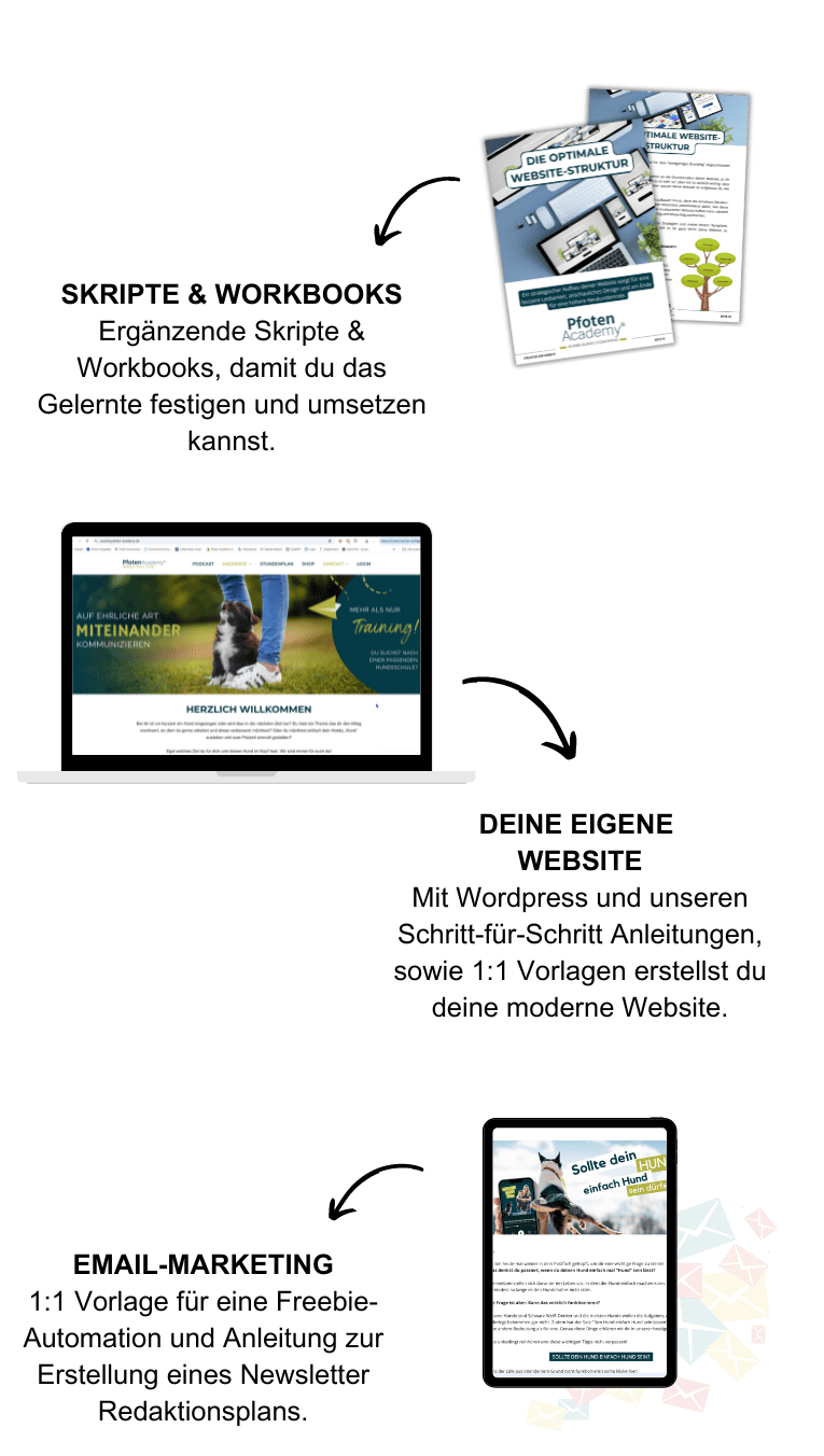 Hundetrainer werden, Hundeschule aufbauen, Instagram Reichweite, Website selber bauen