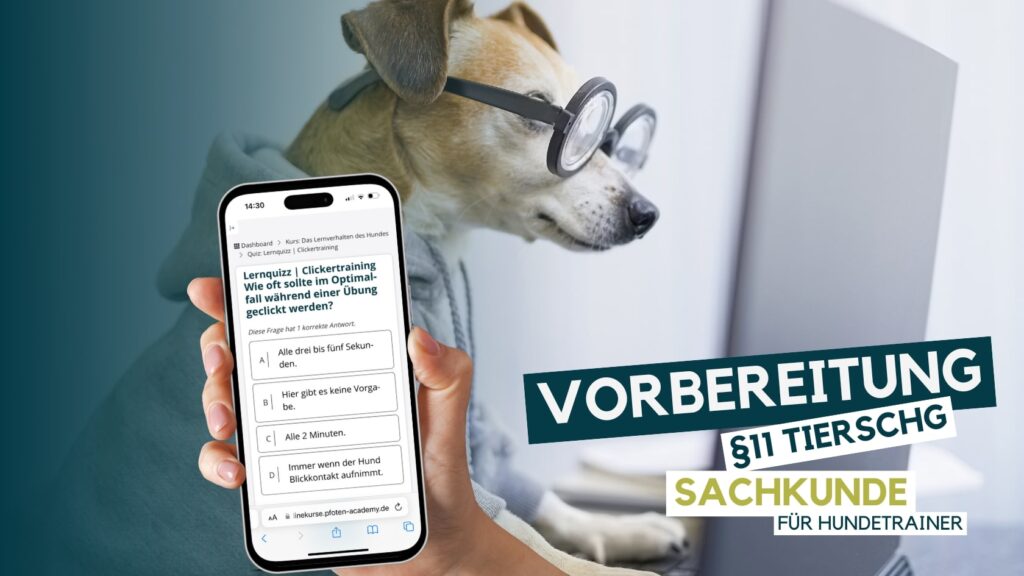 Hundetrainer werden, Hundetrainer Ausbildung, Ausbildung zum Hundetrainer, Prüfung Hundetrainer §11 TierSchg