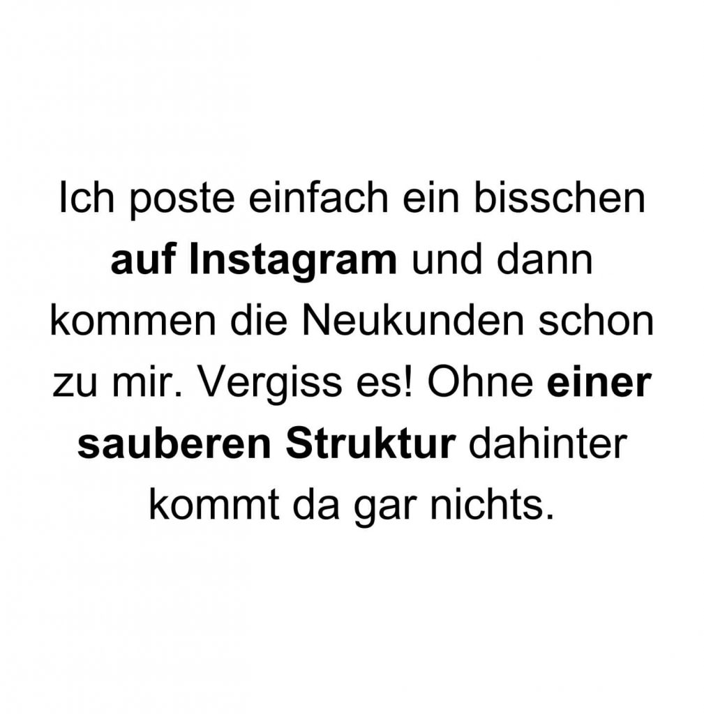 Hundetrainer werden, Hundeschule aufbauen, Instagram Reichweite, Website selber bauen