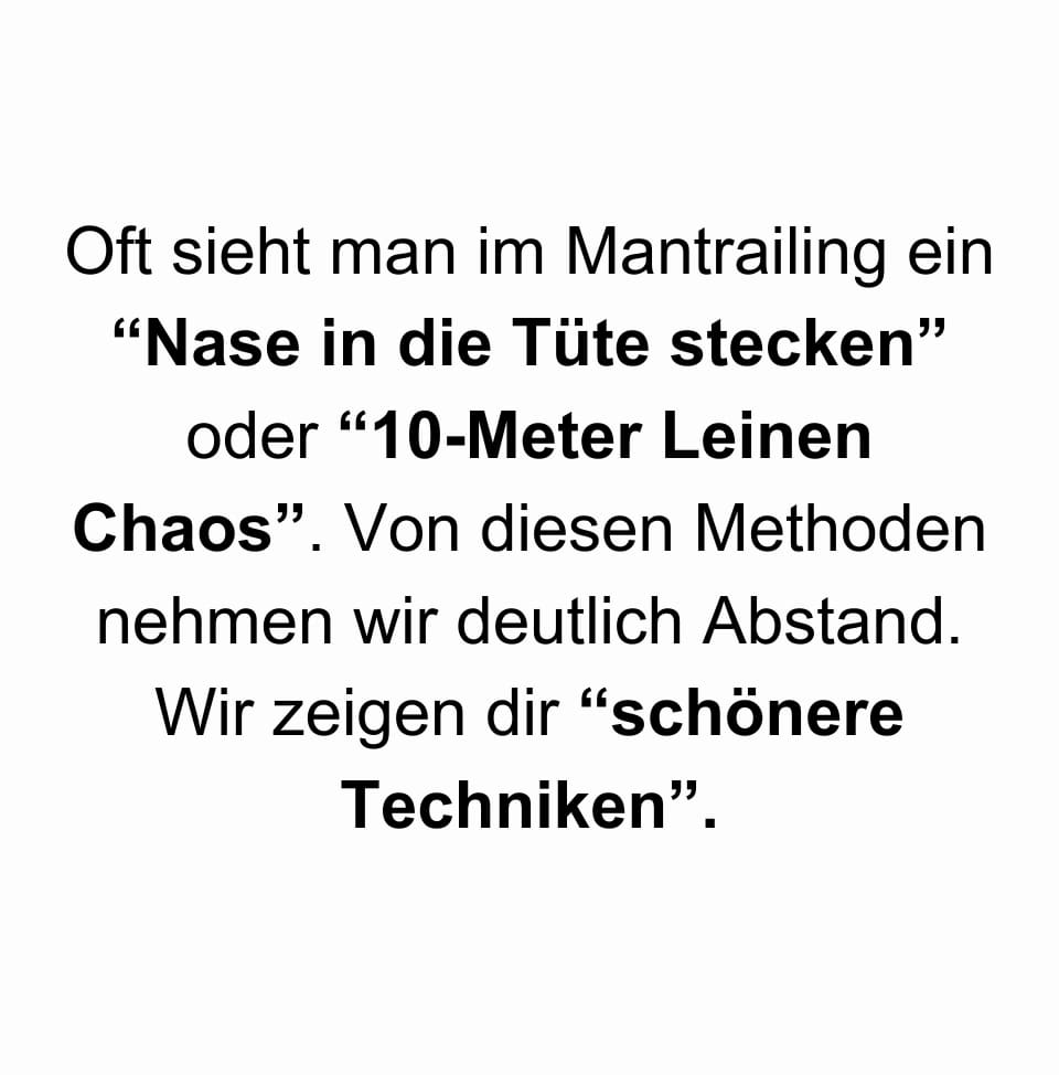 Hundetrainer werden, Hundetrainer Ausbildung, Ausbildung zum Hundetrainer, Prüfung Hundetrainer §11 TierSchg, Mantrailing Trainer