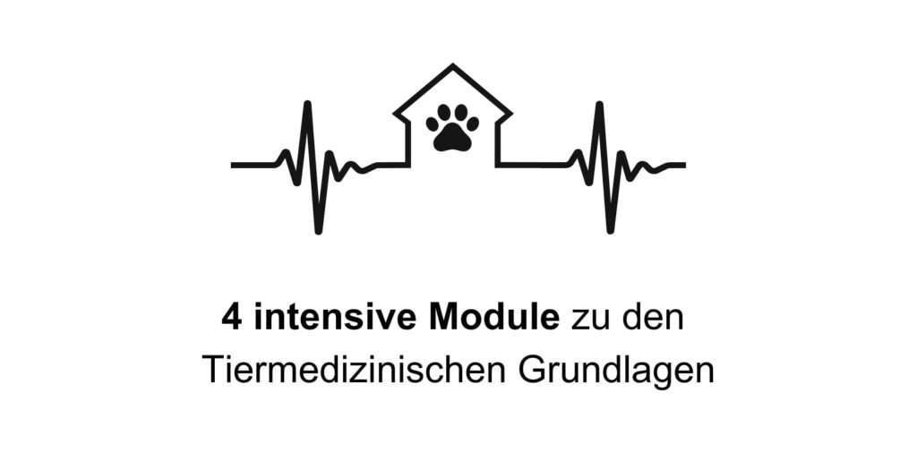 Hundetrainer werden, Hundetrainer Ausbildung, Ausbildung zum Hundetrainer, Prüfung Hundetrainer §11 TierSchg