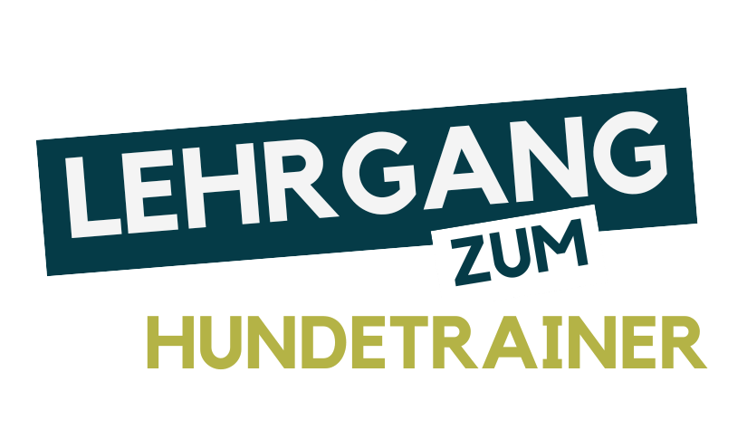 Hundetrainer werden, Hundetrainer Ausbildung, Ausbildung zum Hundetrainer, Prüfung Hundetrainer §11 TierSchg