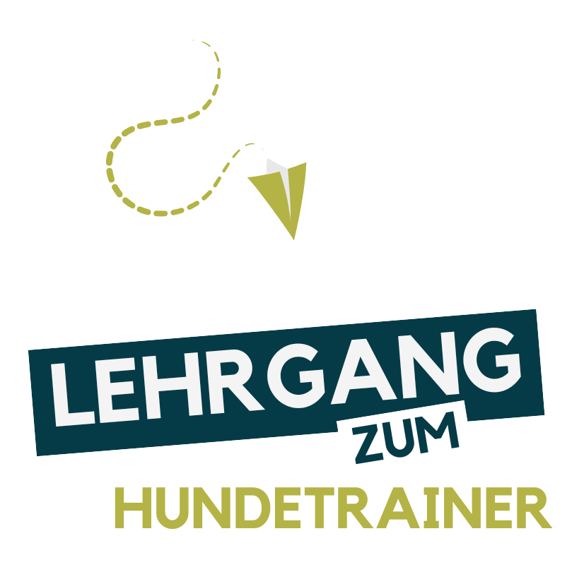 Hundetrainer werden, Hundetrainer Ausbildung, Ausbildung zum Hundetrainer, Prüfung Hundetrainer §11 TierSchg