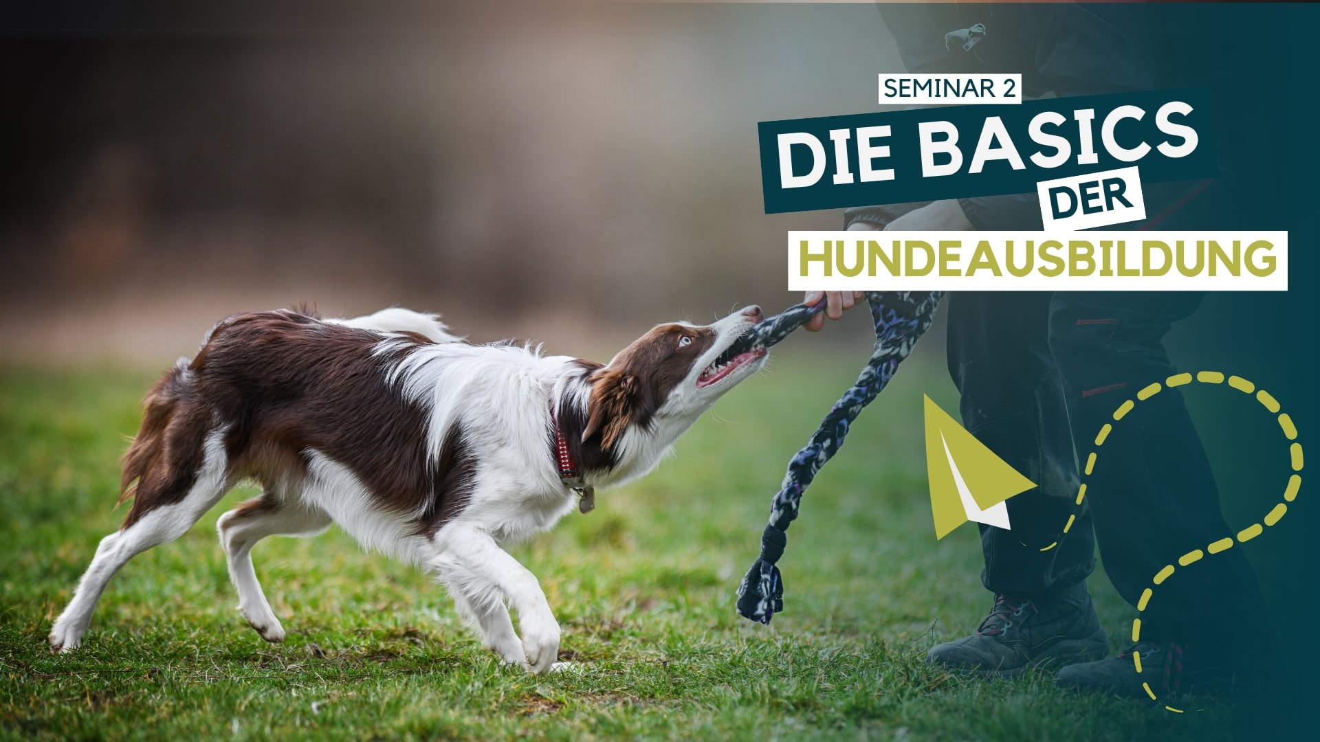 Hundetrainer werden, Hundetrainer Ausbildung, Ausbildung zum Hundetrainer, Prüfung Hundetrainer §11 TierSchg