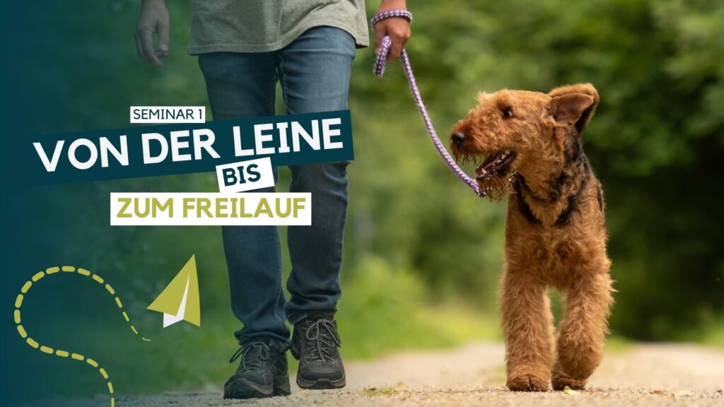 Hundetrainer werden, Hundetrainer Ausbildung, Ausbildung zum Hundetrainer, Prüfung Hundetrainer §11 TierSchg