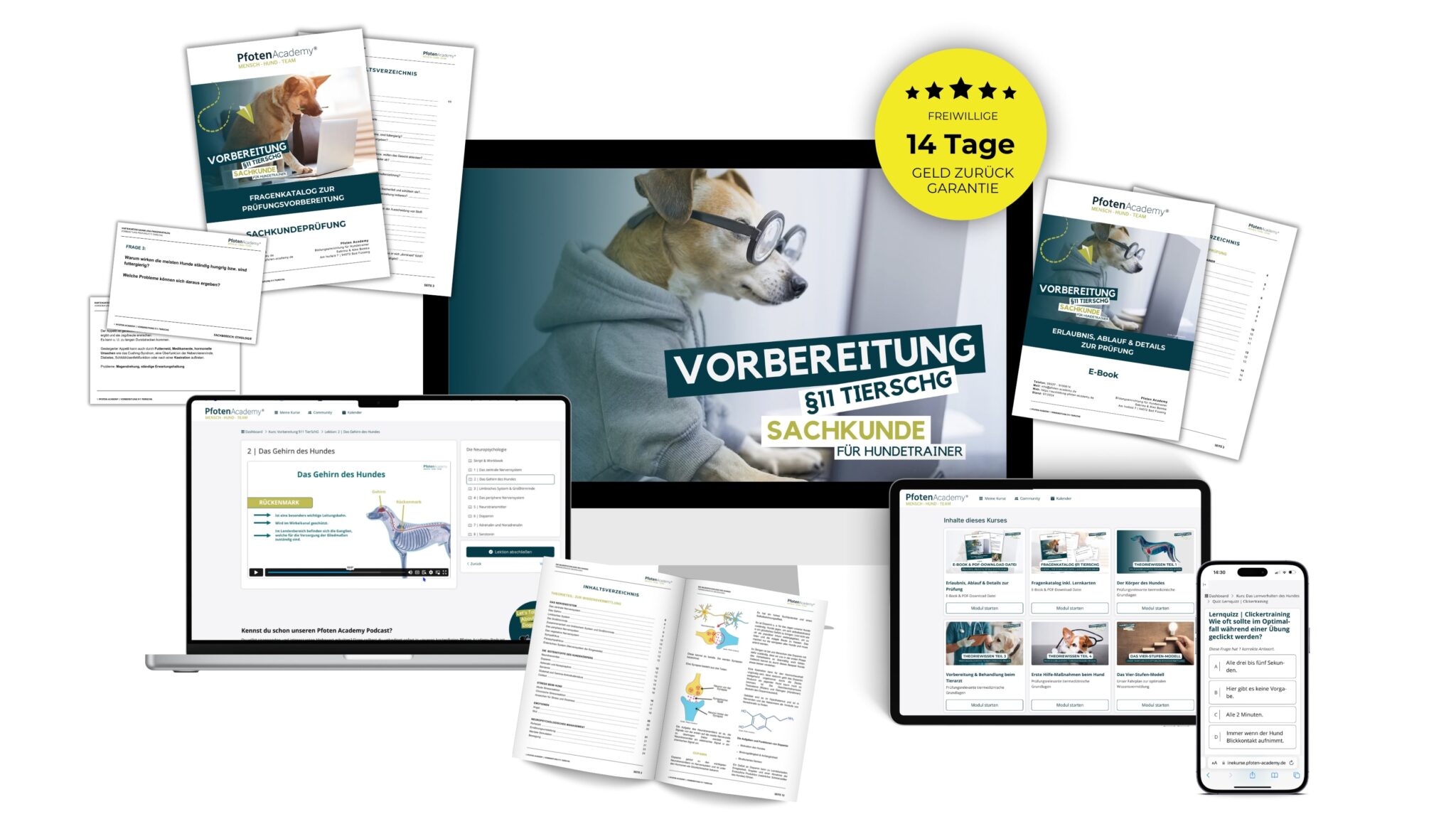 §11_Vorbereitungs_Kurs2